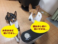 約束通り。。 2014/03/25 05:51:22