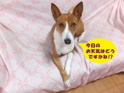 何事も無く平穏（＾＾）