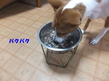 雨だったけど。。