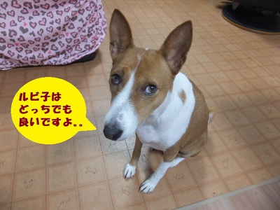 シミ・ソバカス。。