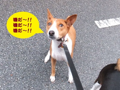 久々のランチ♪