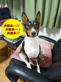 平穏無事でめでたしめでたし。。 2014/06/08 05:36:06
