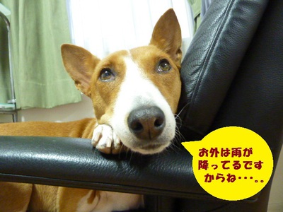 おかげ様で！！