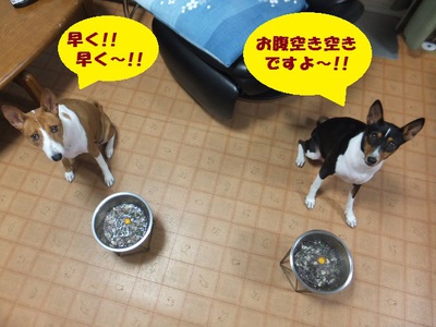 動かないものには強気（笑）