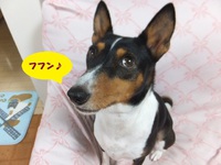 大丈夫、忘れてないで～す！！ 2014/10/16 05:39:07