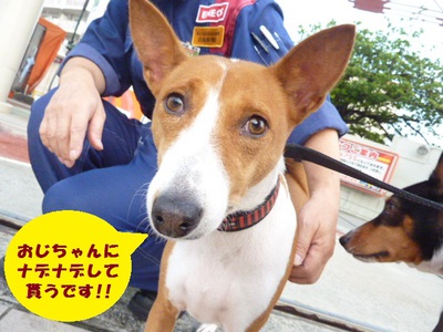 死ぬかと思った。。