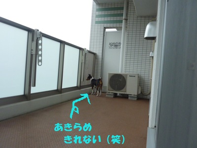 おかげ様で！！