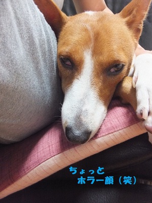 台風8号通過～(**)