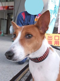 頑張ろ～！！ 2014/08/27 05:36:38