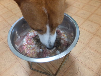 ゆっくり出来た日曜日（＾＾）
