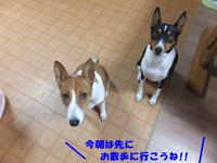 バセ肥ゆる秋（笑） 2014/10/25 05:29:48