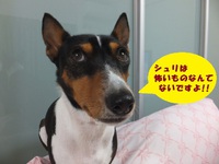 雷雨のち晴れ～！！の日曜日。。 2014/03/31 05:56:39