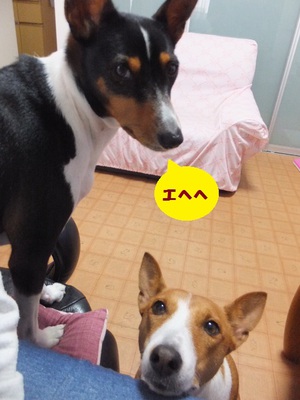 お日様の出待ち♪