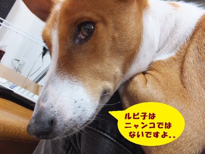 雨だったけど。。
