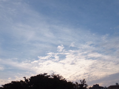 首。。