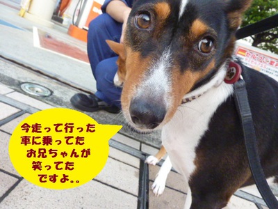 死ぬかと思った。。
