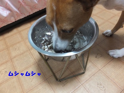 台風8号通過～(**)