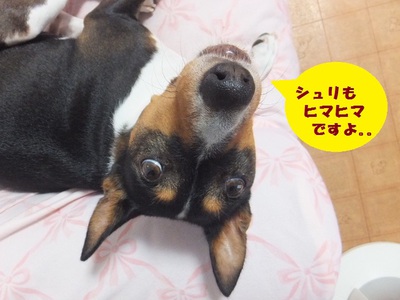 台風の後。。