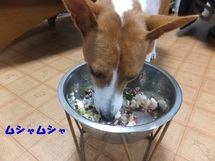 素っ気ないけど甘えん坊（笑）