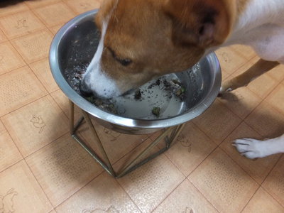 動かないものには強気（笑）