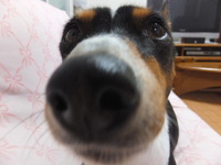 ケーキとおやつでウマウマday♪ 2014/04/17 05:57:13