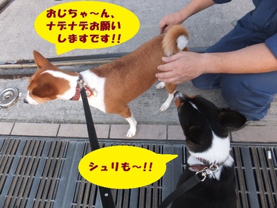 梅雨の晴れ間～！！
