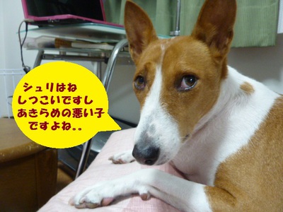 おかげ様で！！