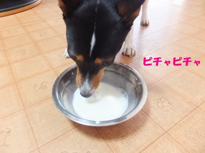 熱帯夜が続く～。。