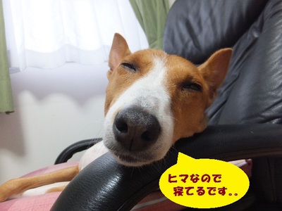 台風の後。。