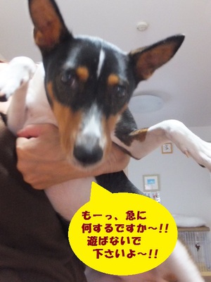 ゆっくり出来た日曜日（＾＾）