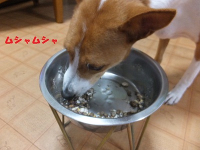 雨雨降れ降れ。。