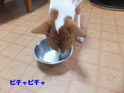 熱帯夜が続く～。。