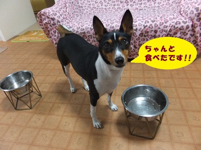 あれ！？台風は！？