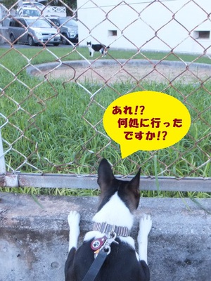 長い留守番、ご苦労さん。。