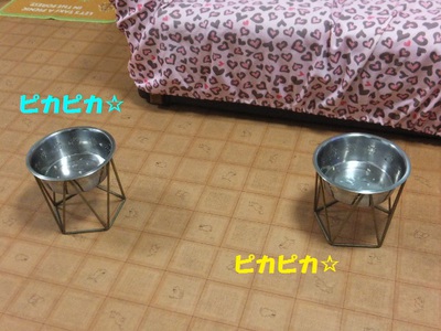 ダメよ、ダメダメ～（笑）