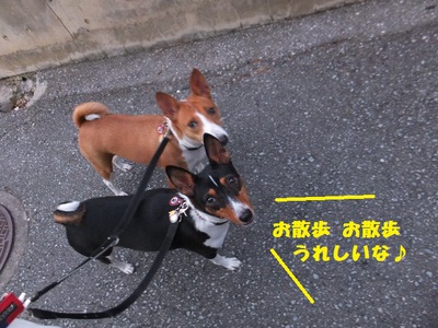 月曜日のいろいろ。。