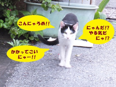 暑さに負けず食欲旺盛！！