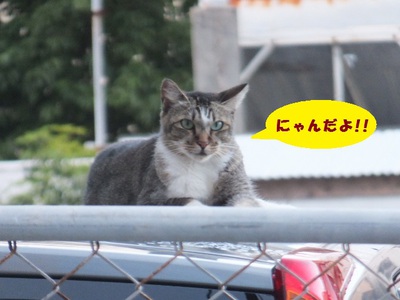 台風が来るよ・・・(**)