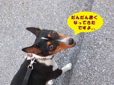 ウダウダ。。