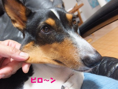 ビロ～ンとかベロ～ンとか（笑）