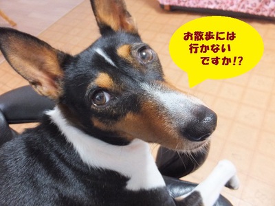 雨だったけど。。