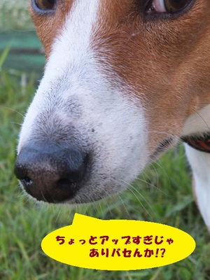 梅雨の晴れ間～！！