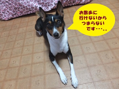 あれ！？台風は！？