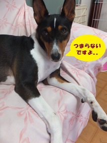 水曜日のいろいろ。。