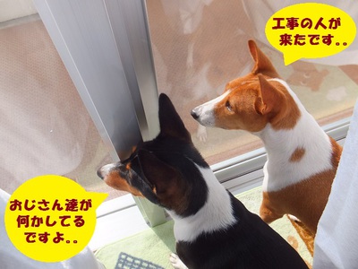 いよいよ。。