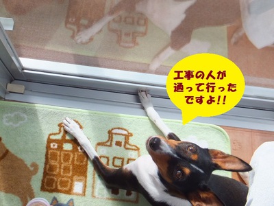 フル回転な日。。