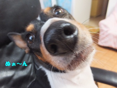 こんな日もある～（笑）