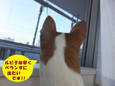 フラれた～（＾＾；