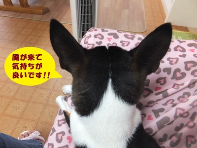 雨雨降れ降れ。。