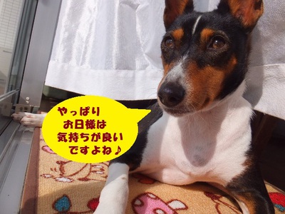 何事も無く平穏（＾＾）